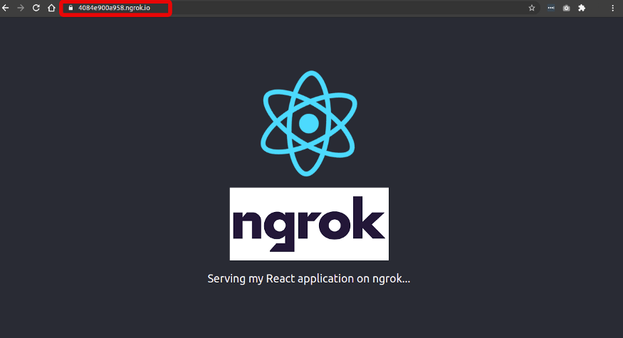 How to use ngrok to show your ongoing project live?